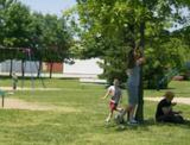 Your Memories of Kedan Gregory Seagraves (July 22, 2002 June 4, 2007